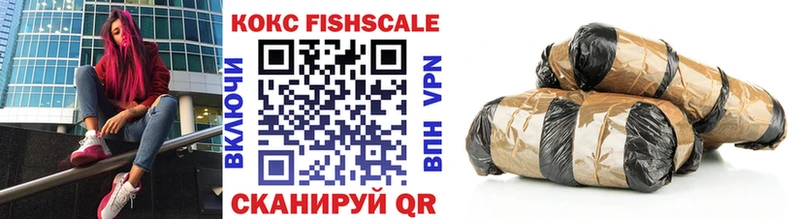 КОКАИН Fish Scale  купить  цена  OMG как зайти  Новотитаровская 
