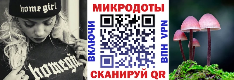 Псилоцибиновые грибы Cubensis Новотитаровская