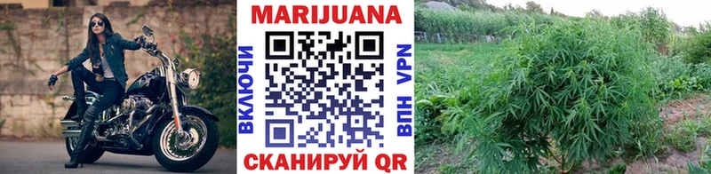 Канабис Amnesia  Новотитаровская 